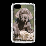 Coque BlackBerry 9720 Chiot dogue Allemand