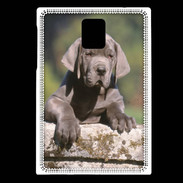 Coque Blackberry Passport Chiot dogue Allemand