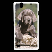 Coque Sony Xperia C4 Chiot dogue Allemand