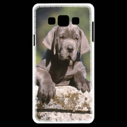 Coque Samsung A7 Chiot dogue Allemand