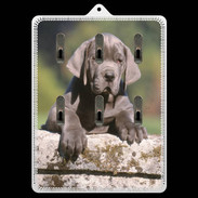 Porte clés Chiot dogue Allemand