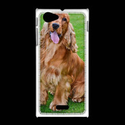 Coque Sony Xpéria J Cocker Spaniel 1