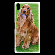 Coque Sony Xperia Z5 Premium Cocker Spaniel 1