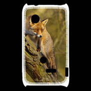 Coque Sony Xperia Typo Renard 5