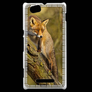 Coque Sony Xperia M Renard 5