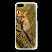 Coque iPhone 5C Renard 5
