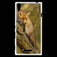 Coque Sony Xperia T3 Renard 5
