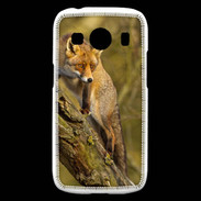 Coque Samsung Galaxy Ace4 Renard 5