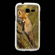 Coque Samsung Galaxy Fresh Renard 5