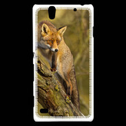 Coque Sony Xperia C4 Renard 5