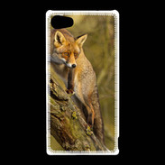 Coque Sony Xperia Z5 Compact Renard 5