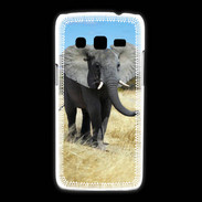 Coque Samsung Galaxy Express2 Éléphant d'Afrique 10