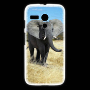 Coque Motorola G Éléphant d'Afrique 10