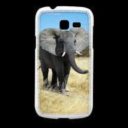 Coque Samsung Galaxy Fresh Éléphant d'Afrique 10