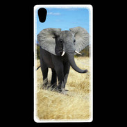Coque Sony Xperia Z5 Premium Éléphant d'Afrique 10