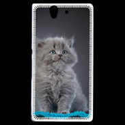 Coque Sony Xperia Z Chaton sur tapis bleu