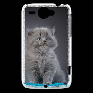 Coque HTC Wildfire G8 Chaton sur tapis bleu