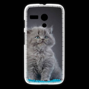 Coque Motorola G Chaton sur tapis bleu