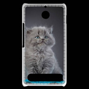 Coque Sony Xperia E1 Chaton sur tapis bleu