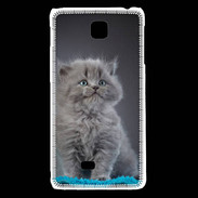 Coque LG F5 Chaton sur tapis bleu