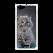 Coque Sony Xpéria J Chaton sur tapis bleu