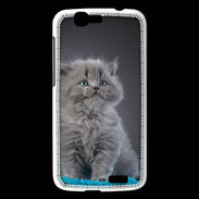 Coque Huawei Ascend G7 Chaton sur tapis bleu