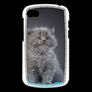 Coque Blackberry Q10 Chaton sur tapis bleu