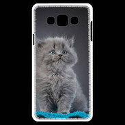 Coque Samsung A7 Chaton sur tapis bleu