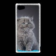 Coque Sony Xperia Z5 Compact Chaton sur tapis bleu