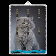 Porte clés Chaton sur tapis bleu