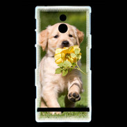 Coque Sony Xperia P Chiot Golden red river