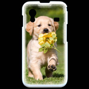 Coque Samsung ACE S5830 Chiot Golden red river