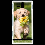 Coque Sony Xperia U Chiot Golden red river
