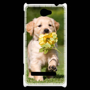Coque HTC Windows Phone 8S Chiot Golden red river