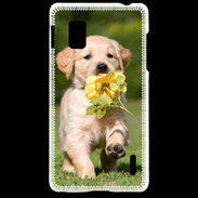 Coque LG Optimus G Chiot Golden red river