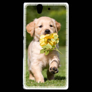 Coque Sony Xperia Z Chiot Golden red river