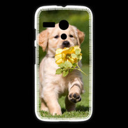 Coque Motorola G Chiot Golden red river