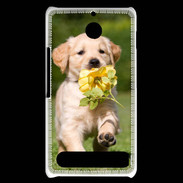 Coque Sony Xperia E1 Chiot Golden red river