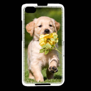 Coque Blackberry Z30 Chiot Golden red river