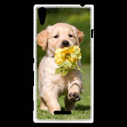 Coque Sony Xperia T3 Chiot Golden red river