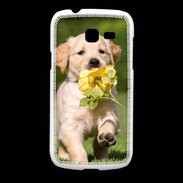 Coque Samsung Galaxy Fresh Chiot Golden red river