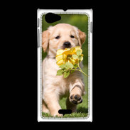 Coque Sony Xpéria J Chiot Golden red river