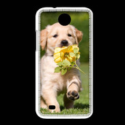 Coque HTC Desire 300 Chiot Golden red river