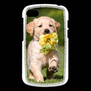 Coque Blackberry Q10 Chiot Golden red river