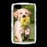Coque BlackBerry 9720 Chiot Golden red river