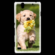 Coque Sony Xperia C4 Chiot Golden red river