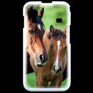 Coque Samsung ACE S5830 Jument et son poulain