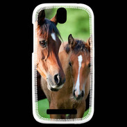 Coque HTC One SV Jument et son poulain