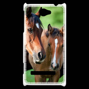 Coque HTC Windows Phone 8S Jument et son poulain