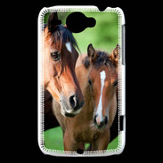 Coque HTC Wildfire G8 Jument et son poulain